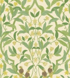 Jasmine And Serin Symphony Wallpaper by Cole & Son 10031 Jasmine And Serin Symphony Wallpaper by Cole & Son 10031