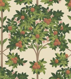 Orange Blossom Wallpaper by Cole & Son 1001 Orange Blossom Wallpaper by Cole & Son 1001