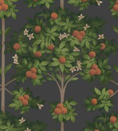 Orange Blossom Wallpaper by Cole & Son 1003 Orange Blossom Wallpaper by Cole & Son 1003