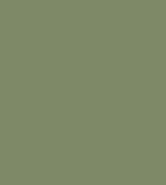 Colour Box Velvet Fabric by Cole & Son Olive Green Colour Box Velvet Fabric by Cole & Son Olive Green