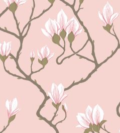 Magnolia Wallpaper by Cole & Son Rose on Blush Magnolia Wallpaper by Cole & Son Rose on Blush
