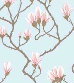 Magnolia Wallpaper by Cole & Son Rose on Sky Blue Magnolia Wallpaper by Cole & Son Rose on Sky Blue
