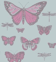 Butterflies & Dragonflies Wallpaper by Cole & Son Pink & Blue Butterflies & Dragonflies Wallpaper by Cole & Son Pink & Blue