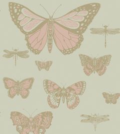 Butterflies & Dragonflies Wallpaper by Cole & Son Pink & Olive Butterflies & Dragonflies Wallpaper by Cole & Son Pink & Olive