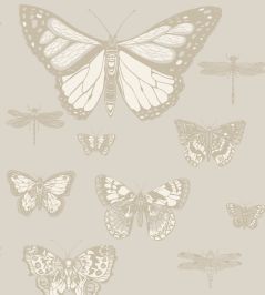 Butterflies & Dragonflies Wallpaper by Cole & Son Grey Butterflies & Dragonflies Wallpaper by Cole & Son Grey