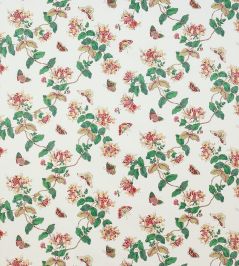 Honeysuckle Fabric by Colefax and Fowler Red Honeysuckle Fabric by Colefax and Fowler Red