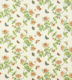 Honeysuckle Fabric by Colefax and Fowler Yellow/Orange Honeysuckle Fabric by Colefax and Fowler Yellow/Orange