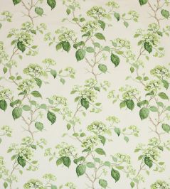 Summerby Cotton Fabric by Colefax and Fowler Leaf Green Summerby Cotton Fabric by Colefax and Fowler Leaf Green