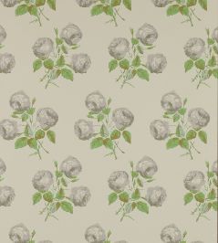 Bowood Wallpaper by Colefax and Fowler Grey/Green Bowood Wallpaper by Colefax and Fowler Grey/Green