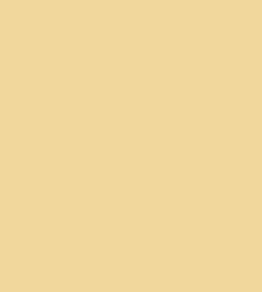 Colour Box Silk Fabric by Cole & Son Gold Colour Box Silk Fabric by Cole & Son Gold