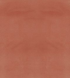 Columbia Fabric by Wemyss Coral Columbia Fabric by Wemyss Coral