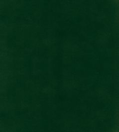 Columbia Fabric by Wemyss Hunter Columbia Fabric by Wemyss Hunter