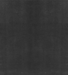 Columbia Fabric by Wemyss Mole Columbia Fabric by Wemyss Mole
