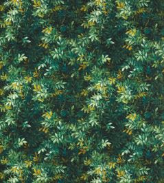 Congo Outdoor Fabric by Clarke & Clarke Forest Congo Outdoor Fabric by Clarke & Clarke Forest
