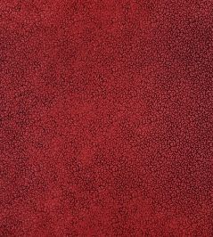 Cora Fabric by Casal Coraux Cora Fabric by Casal Coraux