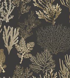 Corail Wallpaper by Casadeco Noir Fusain Corail Wallpaper by Casadeco Noir Fusain