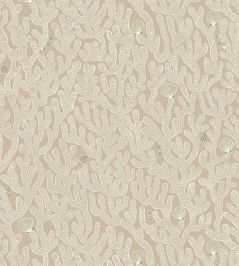 Coral Wallpaper by Josephine Munsey Edge Sand Coral Wallpaper by Josephine Munsey Edge Sand