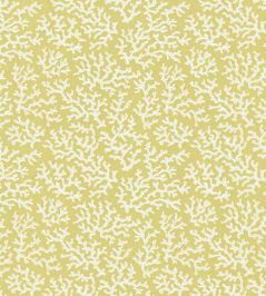 Coral Wallpaper by Langelid Von Bromssen Dusky Lemon Coral Wallpaper by Langelid Von Bromssen Dusky Lemon