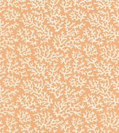 Coral Wallpaper by Langelid Von Bromssen Peach Coral Wallpaper by Langelid Von Bromssen Peach