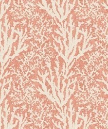 Coral Stripe Wallpaper by Madeaux 03 Faded Rose Coral Stripe Wallpaper by Madeaux 03 Faded Rose