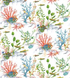 Coralline Wallpaper by Osborne & Little 1 Coralline Wallpaper by Osborne & Little 1