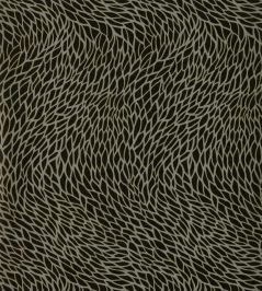 Corallino Wallpaper by Clarke & Clarke Noir Corallino Wallpaper by Clarke & Clarke Noir