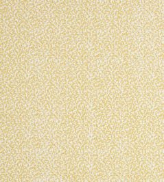 Coro Fabric by Jane Churchill Yellow Coro Fabric by Jane Churchill Yellow