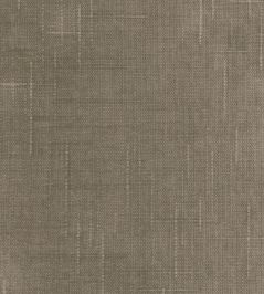 Cosmos Fabric by Pepe Penalver Mushroom Cosmos Fabric by Pepe Penalver Mushroom