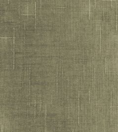 Cosmos Fabric by Pepe Penalver Pistachio Cosmos Fabric by Pepe Penalver Pistachio
