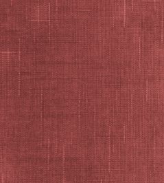 Cosmos Fabric by Pepe Penalver Raspberry Cosmos Fabric by Pepe Penalver Raspberry