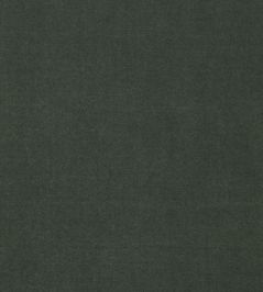 Cotton Velvet Fabric by Liberty Agave Cotton Velvet Fabric by Liberty Agave