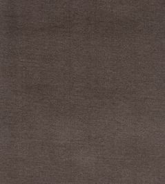 Cotton Velvet Fabric by Liberty Curlew Cotton Velvet Fabric by Liberty Curlew