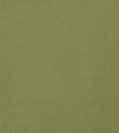 Cotton Velvet Fabric by Liberty Fern Cotton Velvet Fabric by Liberty Fern