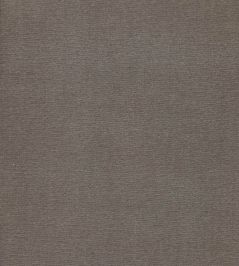 Cotton Velvet Fabric by Liberty Flax Cotton Velvet Fabric by Liberty Flax