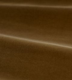 Cotton Velvet Performance Fabric by Zoffany Camel Cotton Velvet Performance Fabric by Zoffany Camel