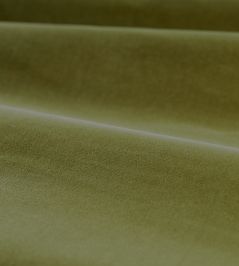 Cotton Velvet Performance Fabric by Zoffany Olive Cotton Velvet Performance Fabric by Zoffany Olive