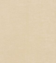 Crush FR Fabric by Kirkby Design Canvas Crush FR Fabric by Kirkby Design Canvas