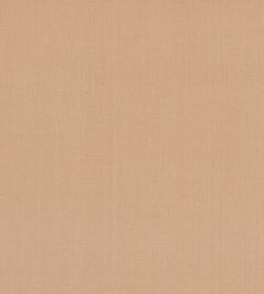 Cubby Fabric by GP & J Baker Desert Cubby Fabric by GP & J Baker Desert