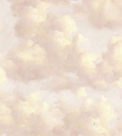 Cumulus Mural by Eijffinger Pink Cumulus Mural by Eijffinger Pink