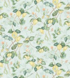 Cupani Wallpaper by Osborne & Little Aqua Cupani Wallpaper by Osborne & Little Aqua