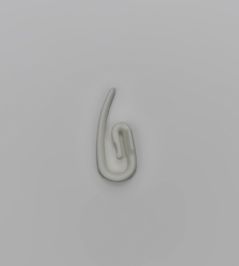 25 Curtain Hooks White 25 Curtain Hooks White
