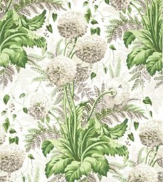 Dahlia Wallpaper by Anna French Spring on White Dahlia Wallpaper by Anna French Spring on White