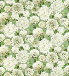 Dahlia Fabric by Harlequin Sail Cloth / Meadow / Sketched Dahlia Fabric by Harlequin Sail Cloth / Meadow / Sketched