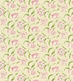 Dancing Tulips Fabric by Sanderson Red/Cream Dancing Tulips Fabric by Sanderson Red/Cream