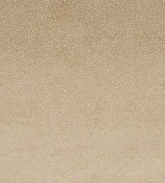 Darwin Fabric by Jane Churchill Beige Darwin Fabric by Jane Churchill Beige