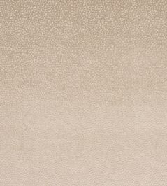 Darwin Fabric by Jane Churchill Stone Darwin Fabric by Jane Churchill Stone