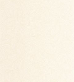Delora Wallpaper by Caselio Blanc Delora Wallpaper by Caselio Blanc