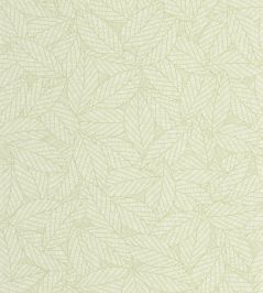 Delora Wallpaper by Caselio Vert amande Delora Wallpaper by Caselio Vert amande