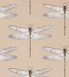 Demoiselle Wallpaper by Harlequin Positano/First Light/Taupe Demoiselle Wallpaper by Harlequin Positano/First Light/Taupe
