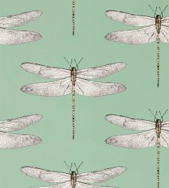 Demoiselle Wallpaper by Harlequin Seaglass/First Light/Sand Demoiselle Wallpaper by Harlequin Seaglass/First Light/Sand